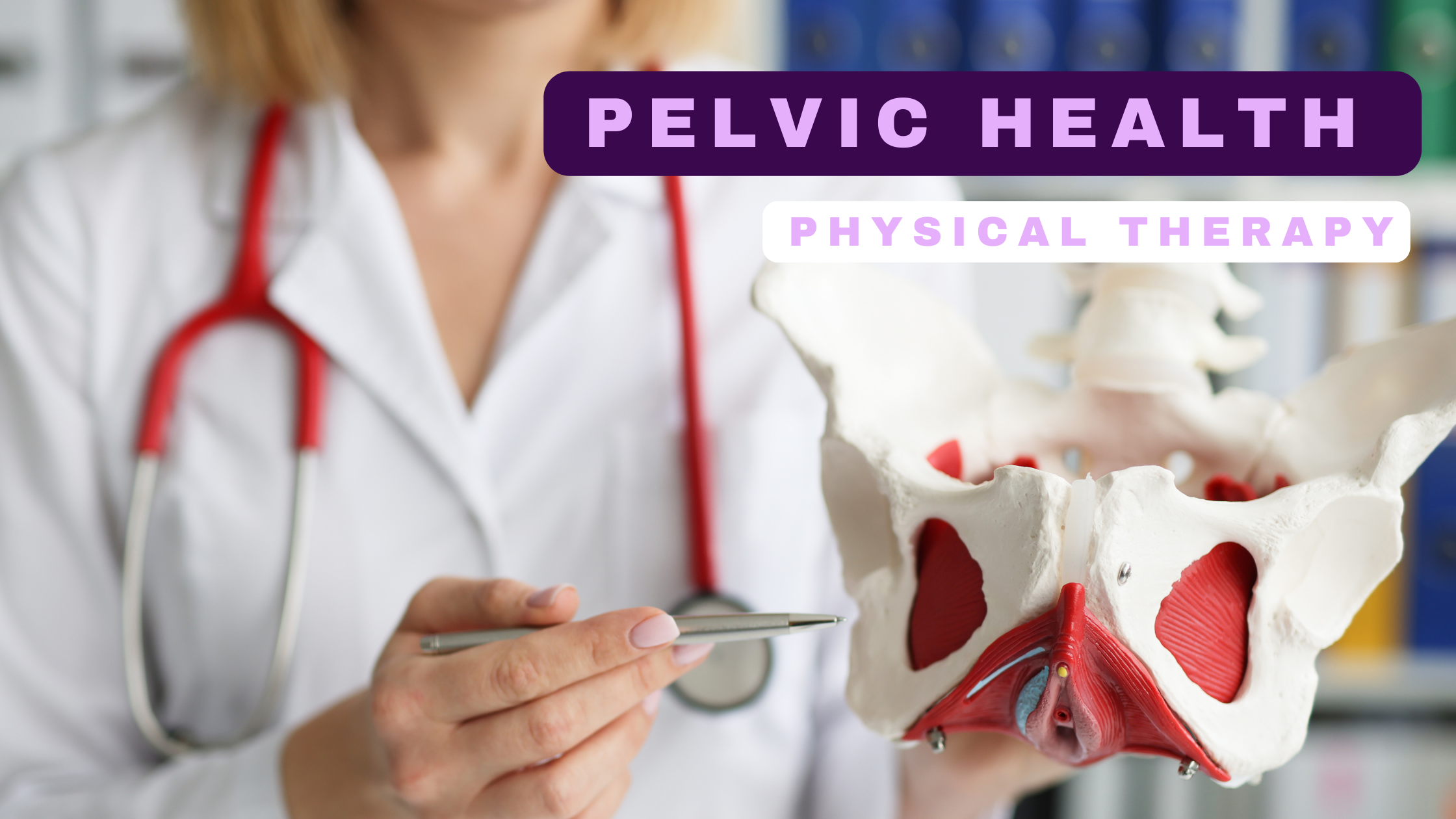 picture of a doctor dressed in white lab coat holding a model of the pelvis